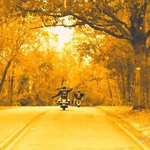 Meet your Posher, Josh